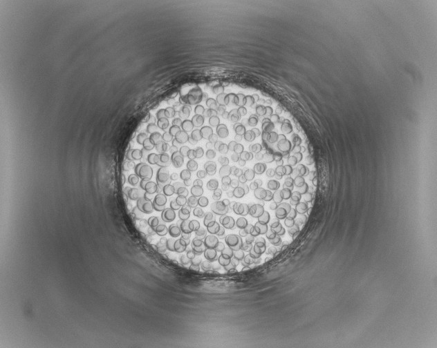 X0000115050470200912071134