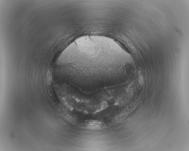 X0000115050471200912071134