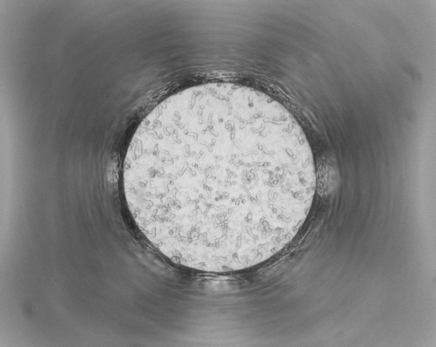 X0000115050472200912071134