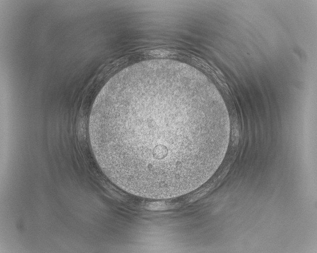 X0000115050473200912071134