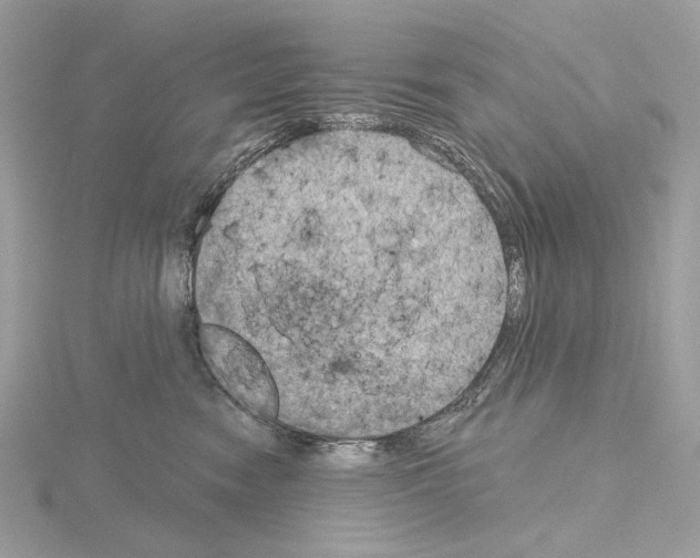 X0000115050474200912071134