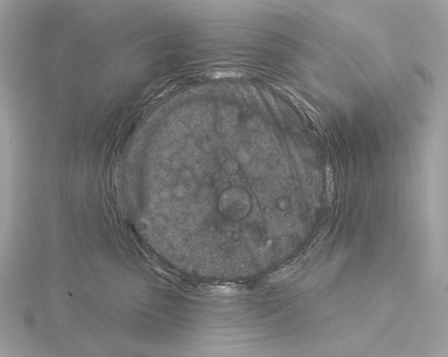 X0000115050475200912071134