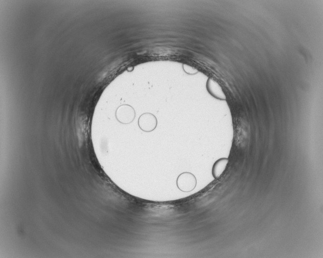 X0000115050476200912071134