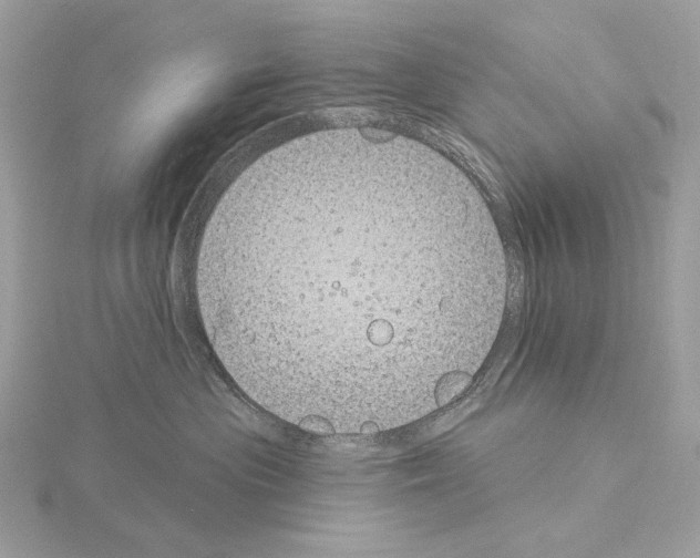 X0000115050477200912071134