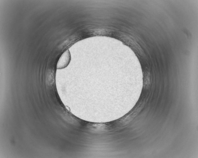 X0000115050478200912071134