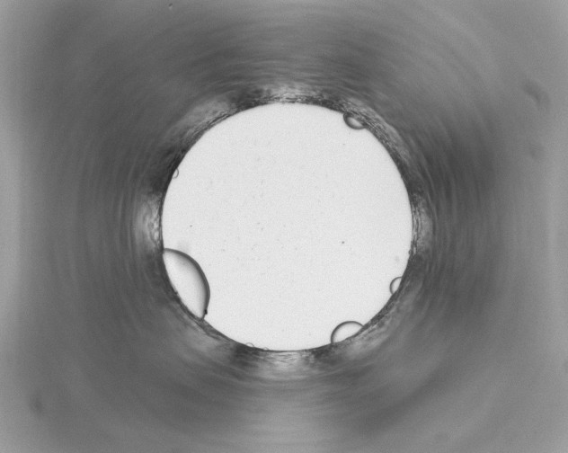 X0000115050479200912071134