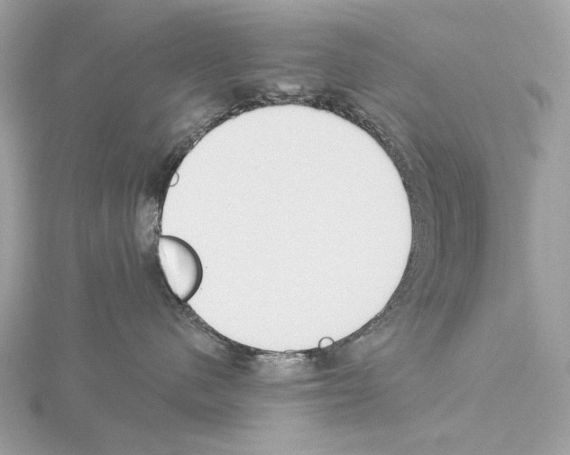 X0000115050480200912071134