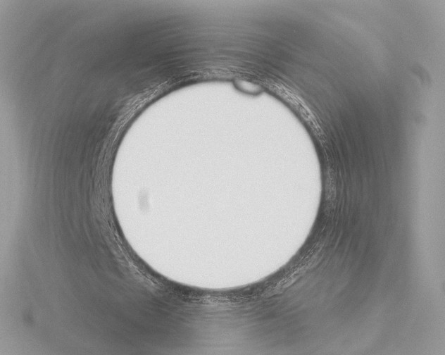 X0000115050481200912071133