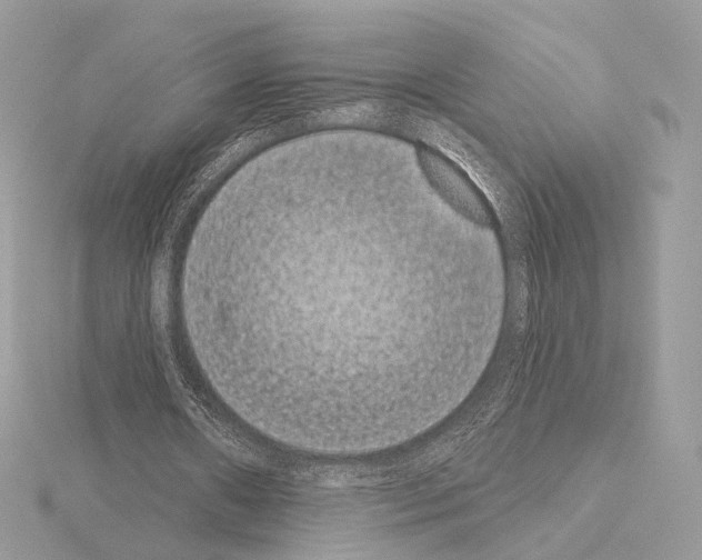 X0000115050482200912071133