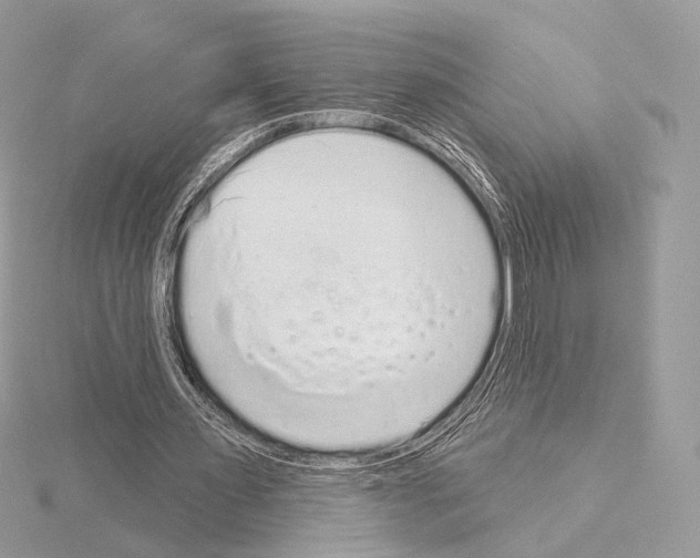 X0000115050483200912071133