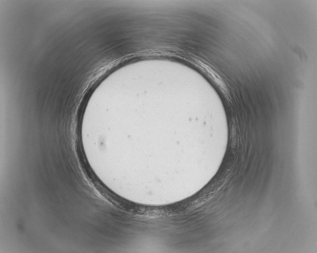 X0000115050485200912071133