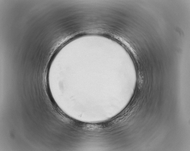 X0000115050487200912071133