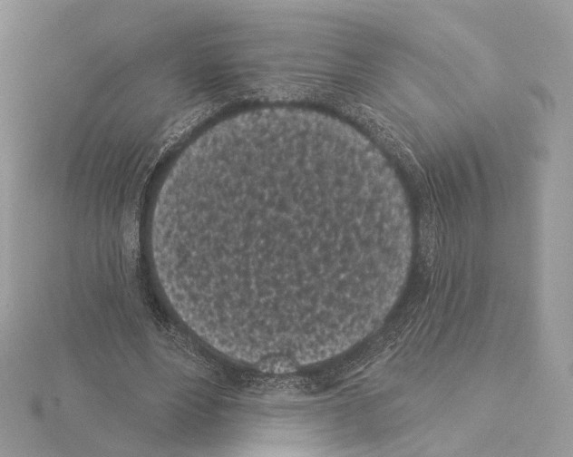 X0000115050488200912071133