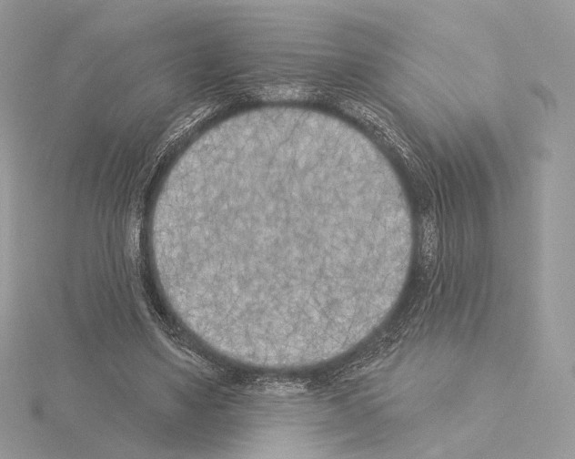 X0000115050491200912071133