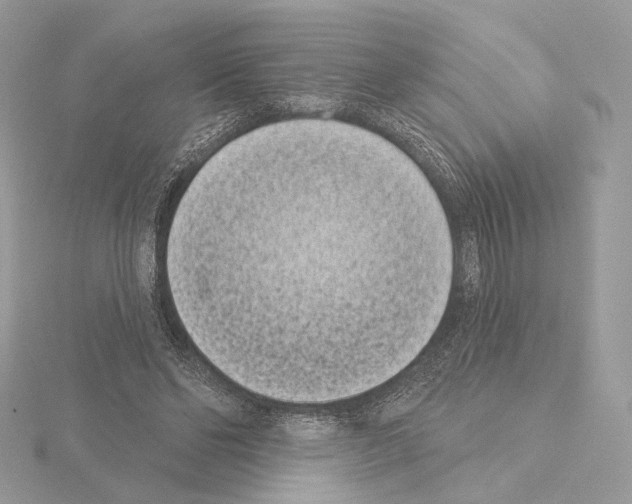 X0000115050494200912071133