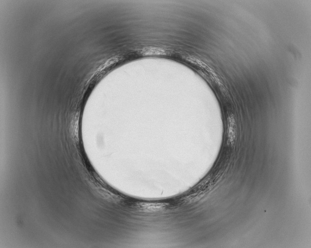 X0000115050495200912071133