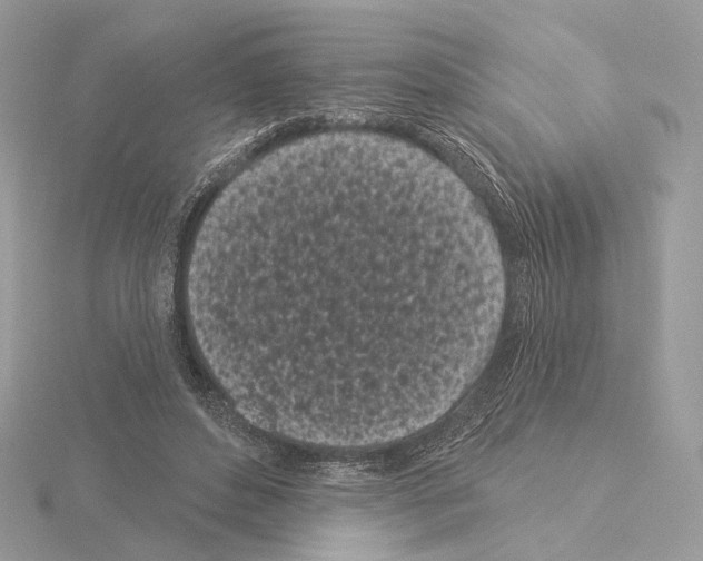 X0000115050496200912071133