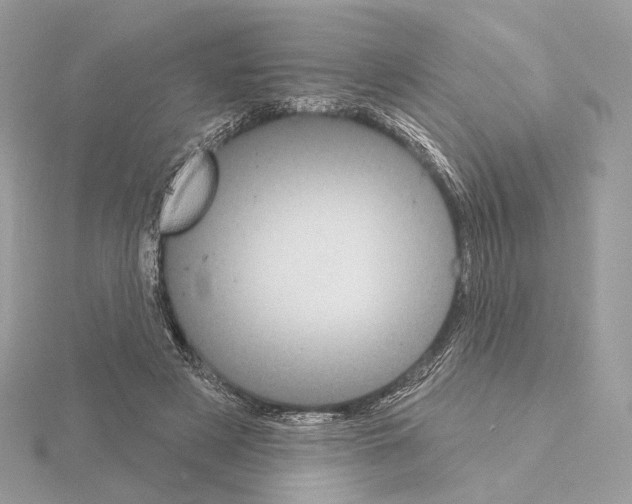 X0000115050497200912071133