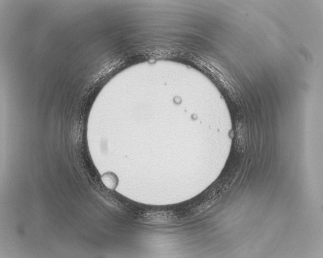 X0000115050499200912071133