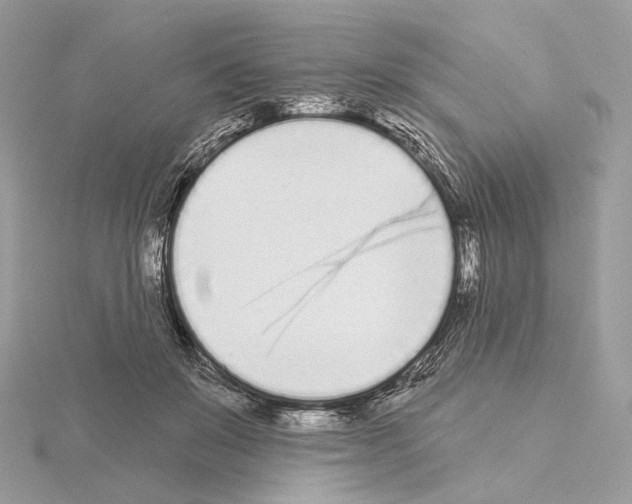 X0000115050503200912071133