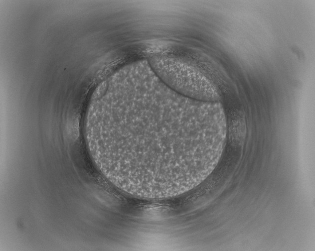 X0000115050504200912071133