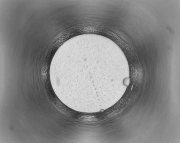 X0000115050507200912071133