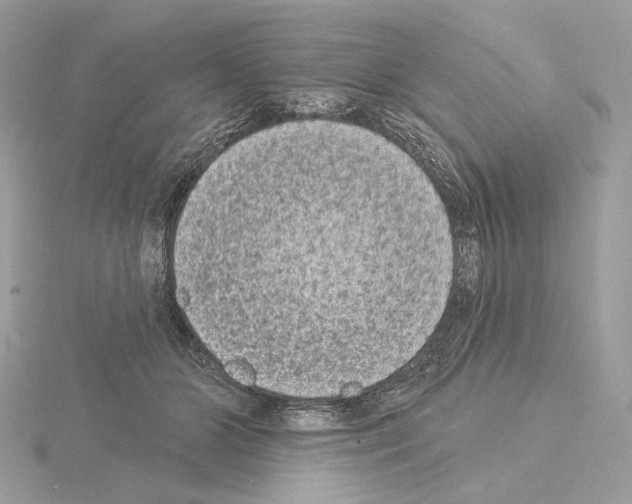 X0000115050510200912071133