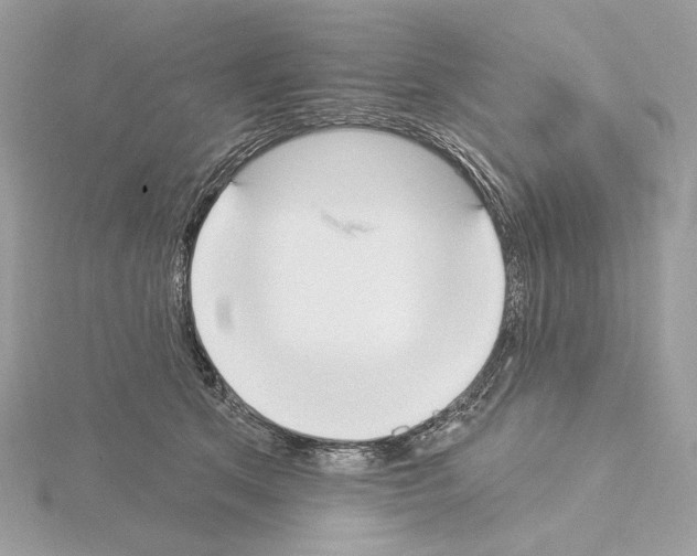 X0000115050513200912071133