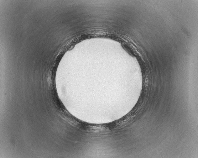 X0000115050516200912071133