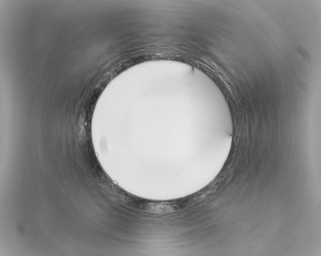 X0000115050520200912071133