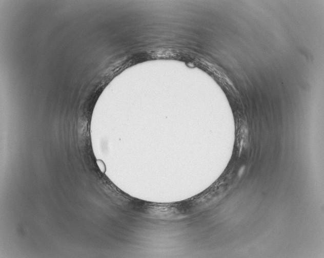 X0000115050521200912071133