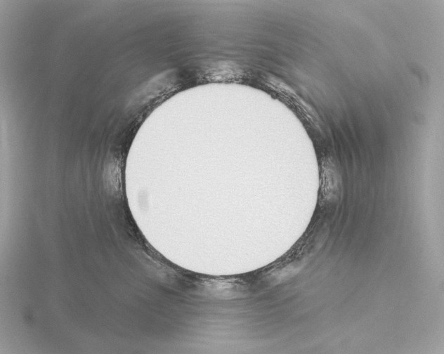 X0000115050523200912071133