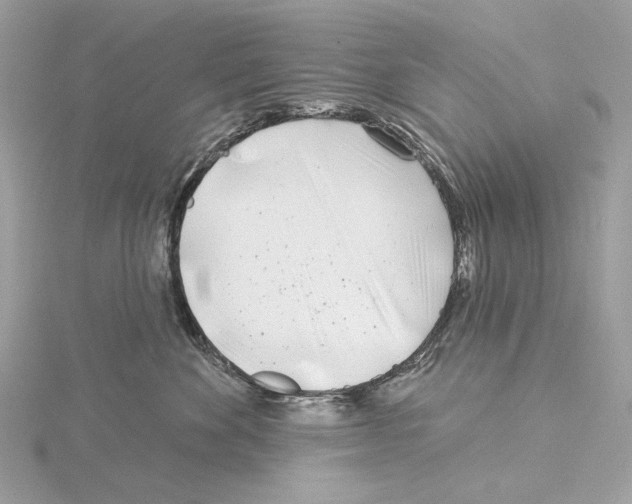 X0000115050524200912071133