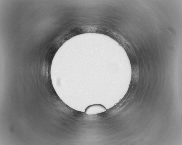 X0000115050525200912071133