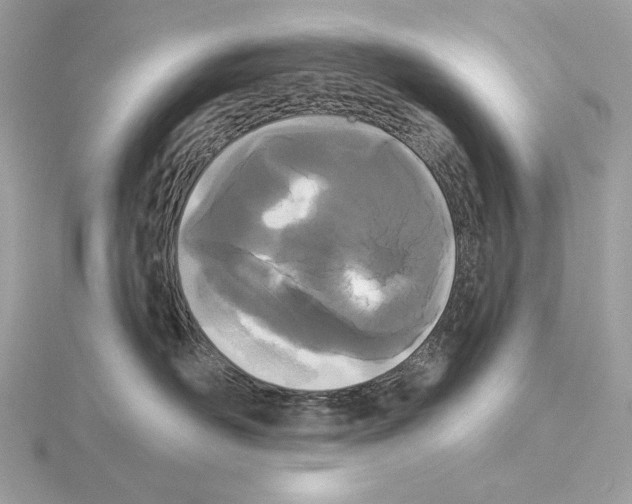 X0000115050526200912071133