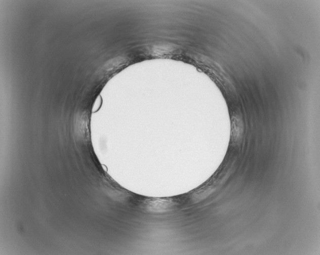 X0000115050527200912071132