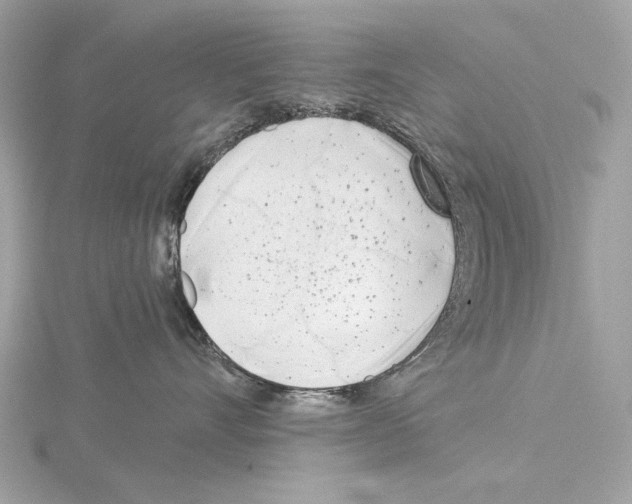 X0000115050528200912071132