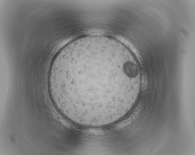 X0000115050529200912071132