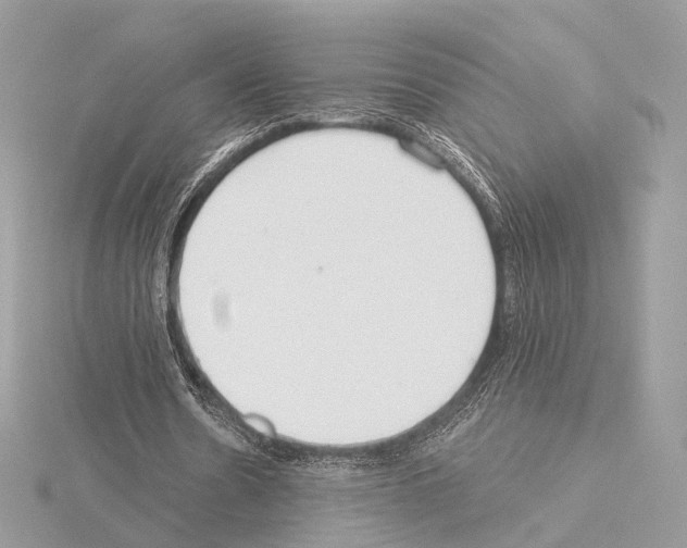 X0000115050530200912071132