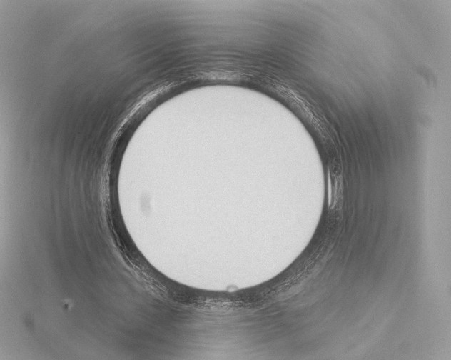 X0000115050531200912071132