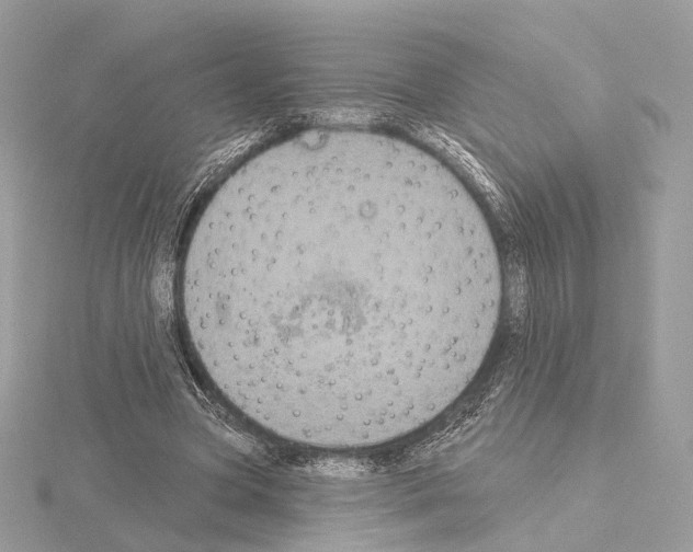 X0000115050537200912071132