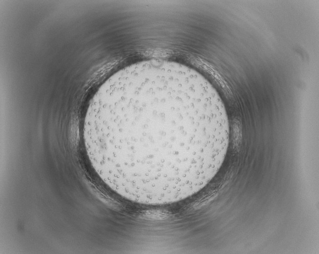 X0000115050541200912071132