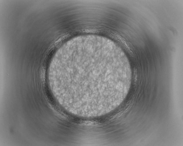 X0000115050542200912071132