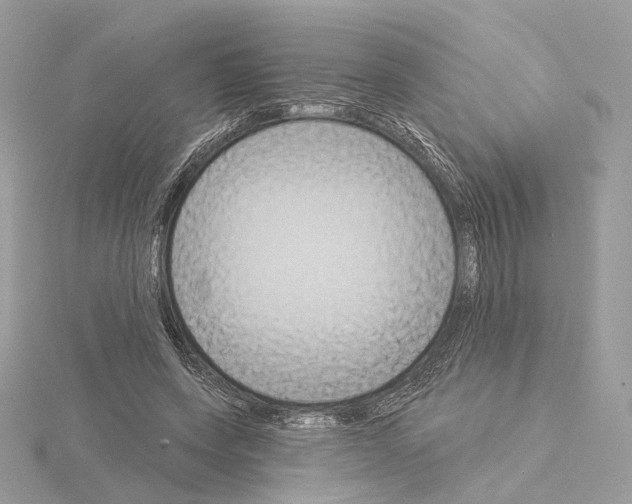 X0000115050543200912071132