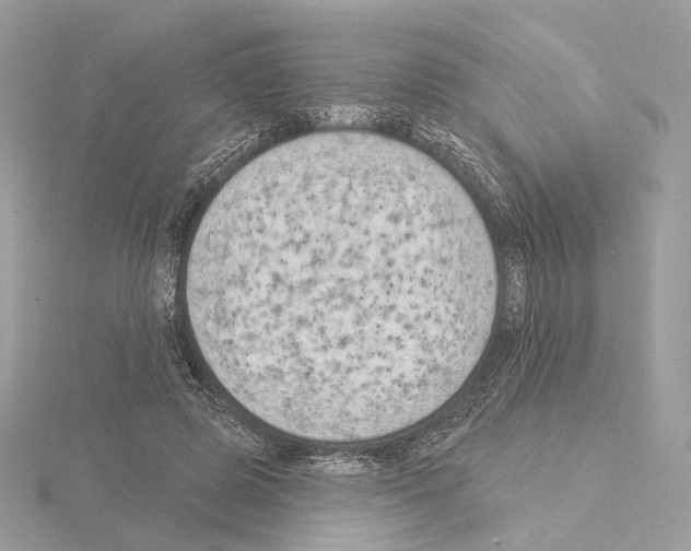 X0000115050545200912071132