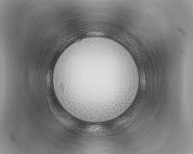 X0000115050551200912071132