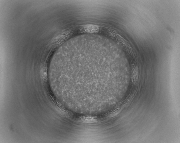 X0000115050553200912071132