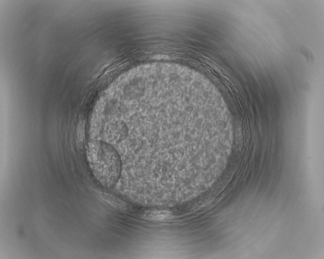 X0000115050554200912071132