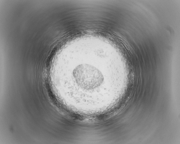 X0000115050555200912071132