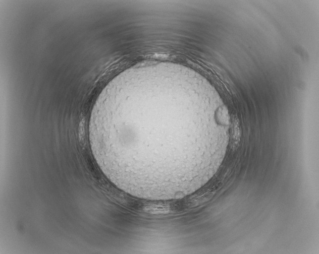 X0000115050559200912071132